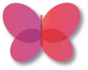 one butterfly